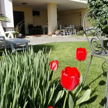 Alojamento de Acomodação e Pequeno-almoço Casa Iovara 3*