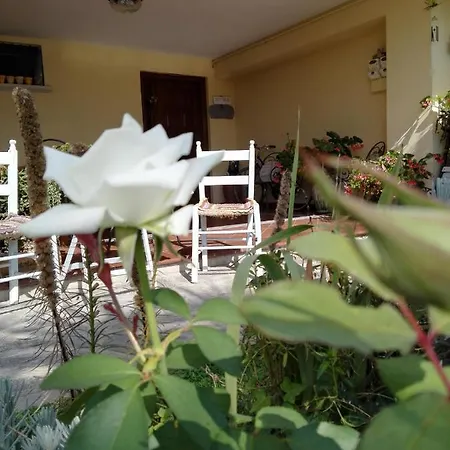 Casa Iovara Frühstückspension