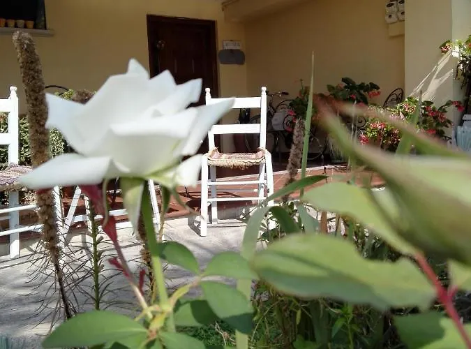 Casa Iovara Отель типа 